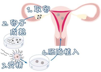 刘阳旭主任